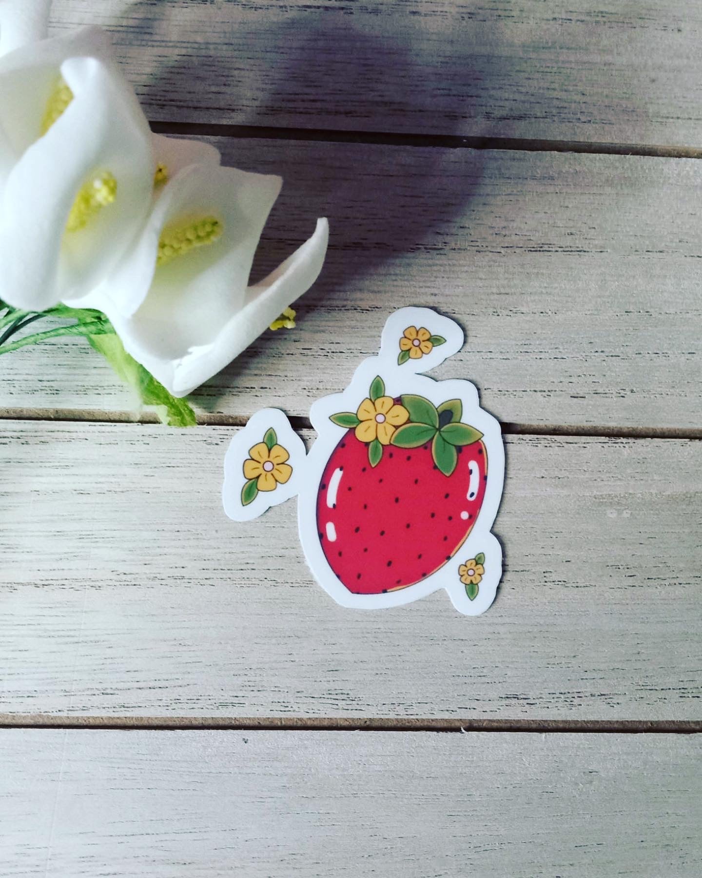 Daisy Strawberry