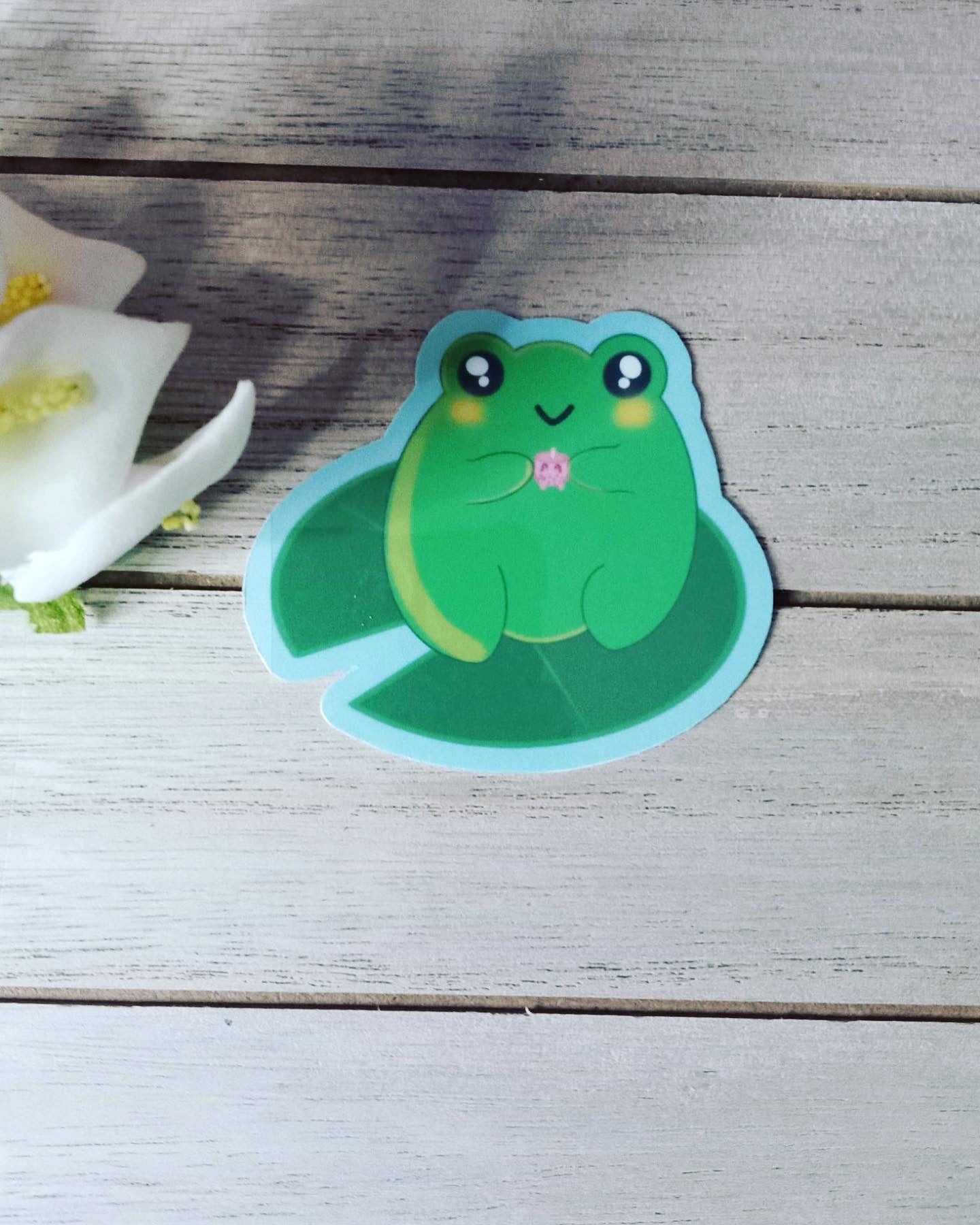Froggy friend vinyl sticker